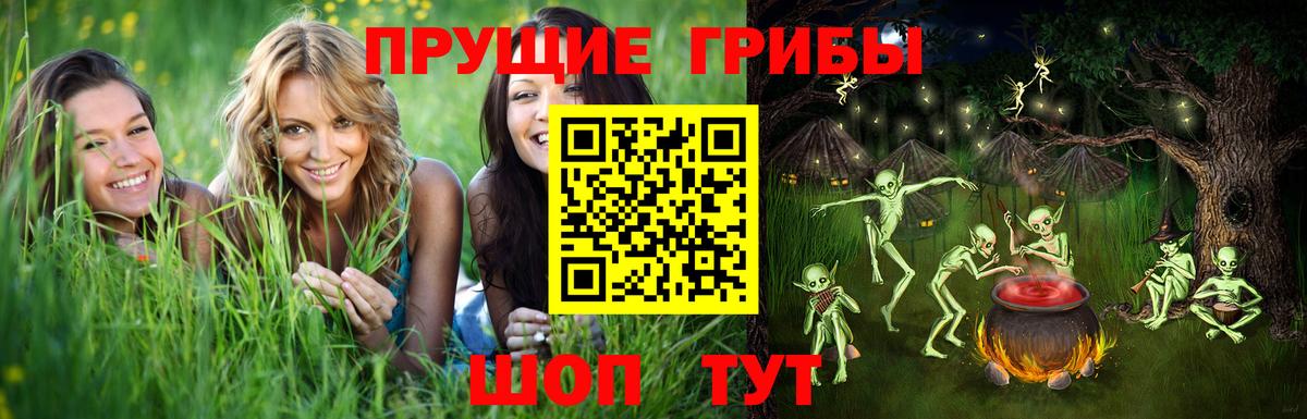 Галлюциногенные грибы Cubensis Ипатово